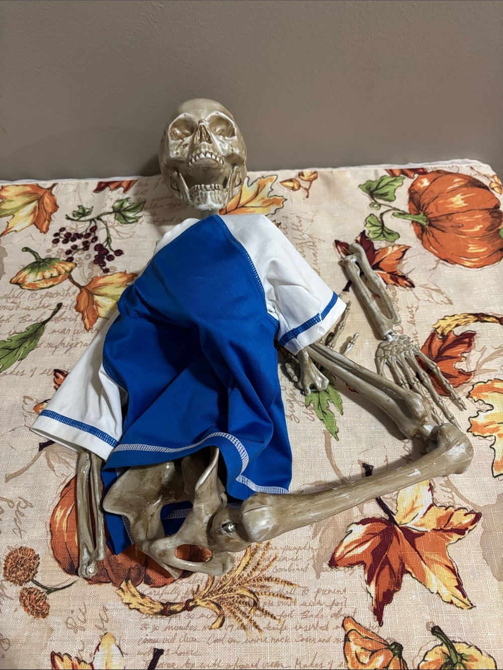 Bits and pieces of a skeleton